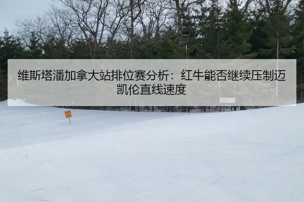 维斯塔潘加拿大站排位赛分析：红牛能否继续压制迈凯伦直线速度（leyu）